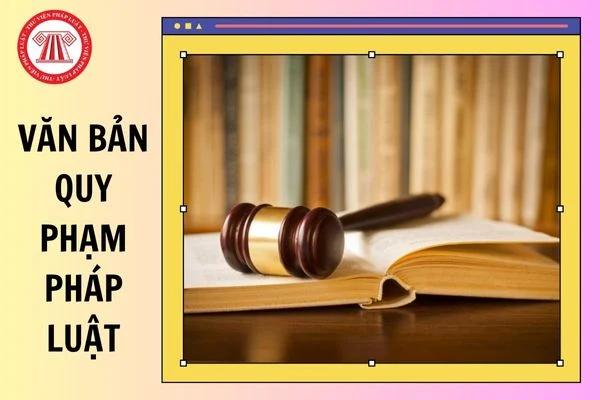 Hồ sơ dự án, dự thảo văn bản quy phạm pháp luật theo quy định của pháp luật; nội dung và kết quả trưng cầu ý dân, tiếp thu ý kiến Nhân dân đối với những vấn đề thuộc thẩm quyền quyết định của cơ quan nhà nước đưa ra lấy ý kiến Nhân dân theo quy định của pháp luật; đề án và dự thảo đề án thành lập, giải thể, nhập, chia đơn vị hành chính, điều chỉnh địa giới và đổi tên đơn vị hành chính.